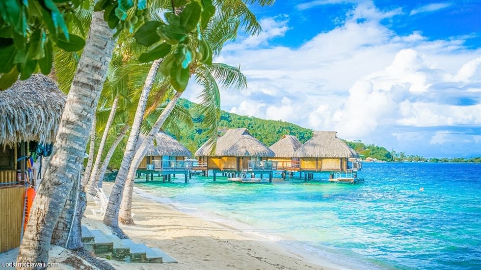 Tahiti Travel Basics