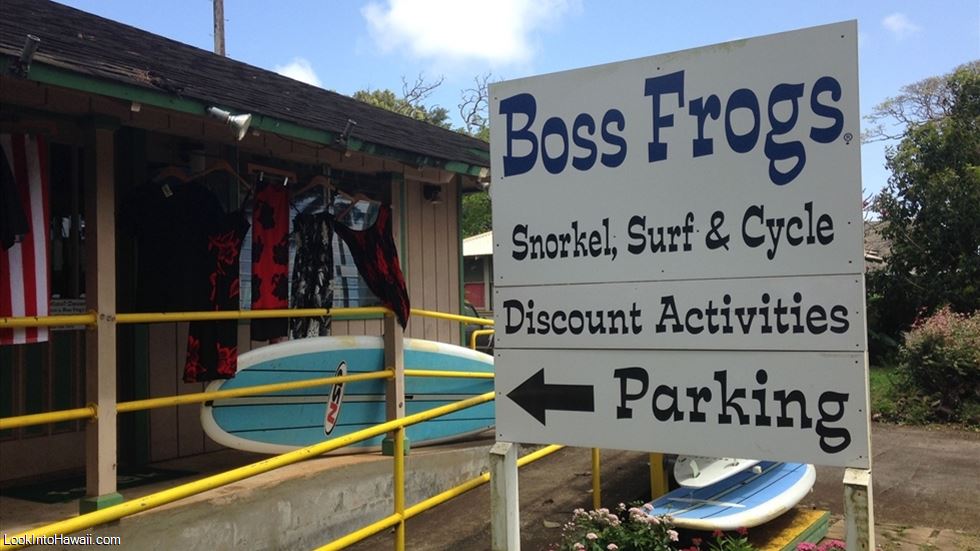 Boss Frog's Dive & Surf
