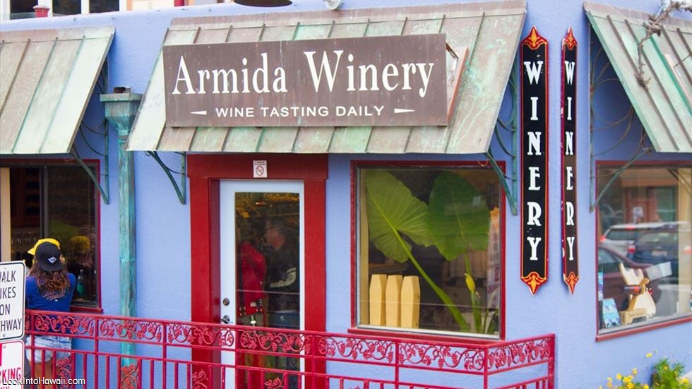 Armida Winery