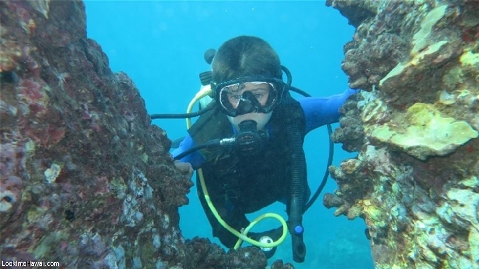 Maui Undersea Adventures