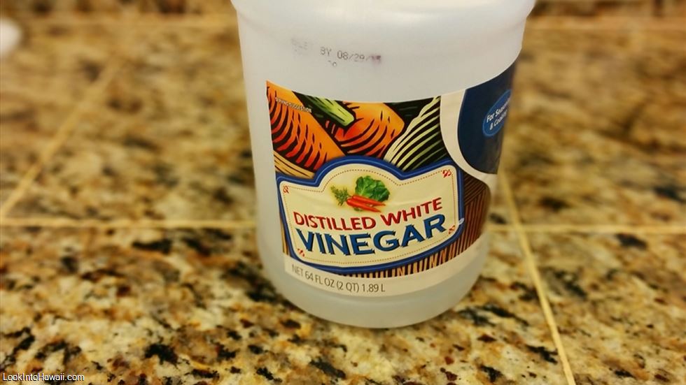 Preserving Garlic with White Vinegar