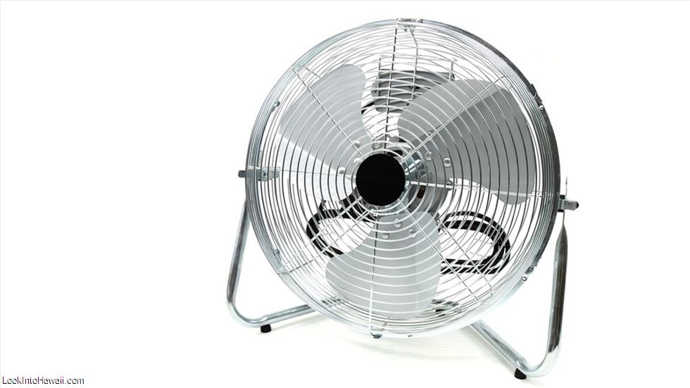 Using Fans To Stay Cool
