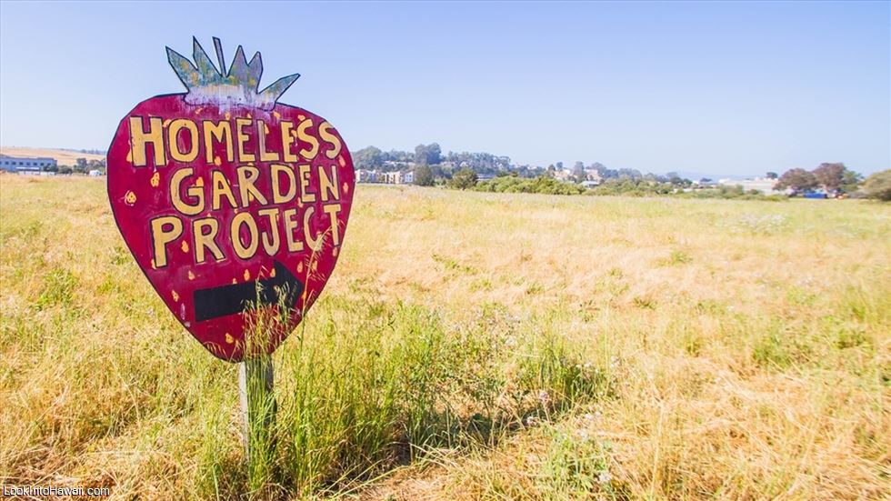 Homeless Garden Project