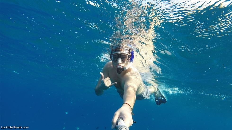 Best Snorkeling Beaches on Oahu