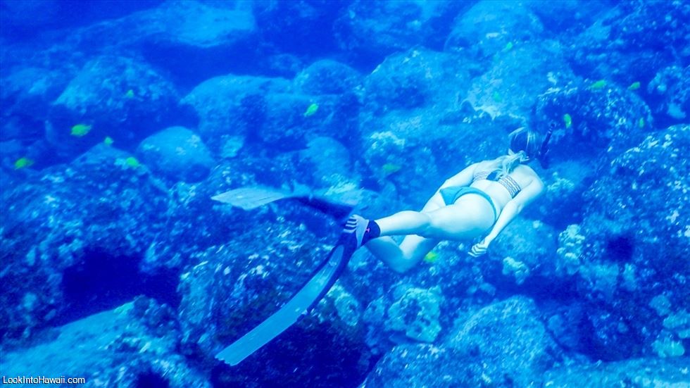 Best Snorkeling Beaches on Maui